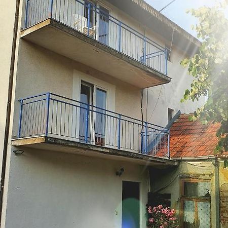 Vila Lav Sokobanja Bed & Breakfast Bagian luar foto