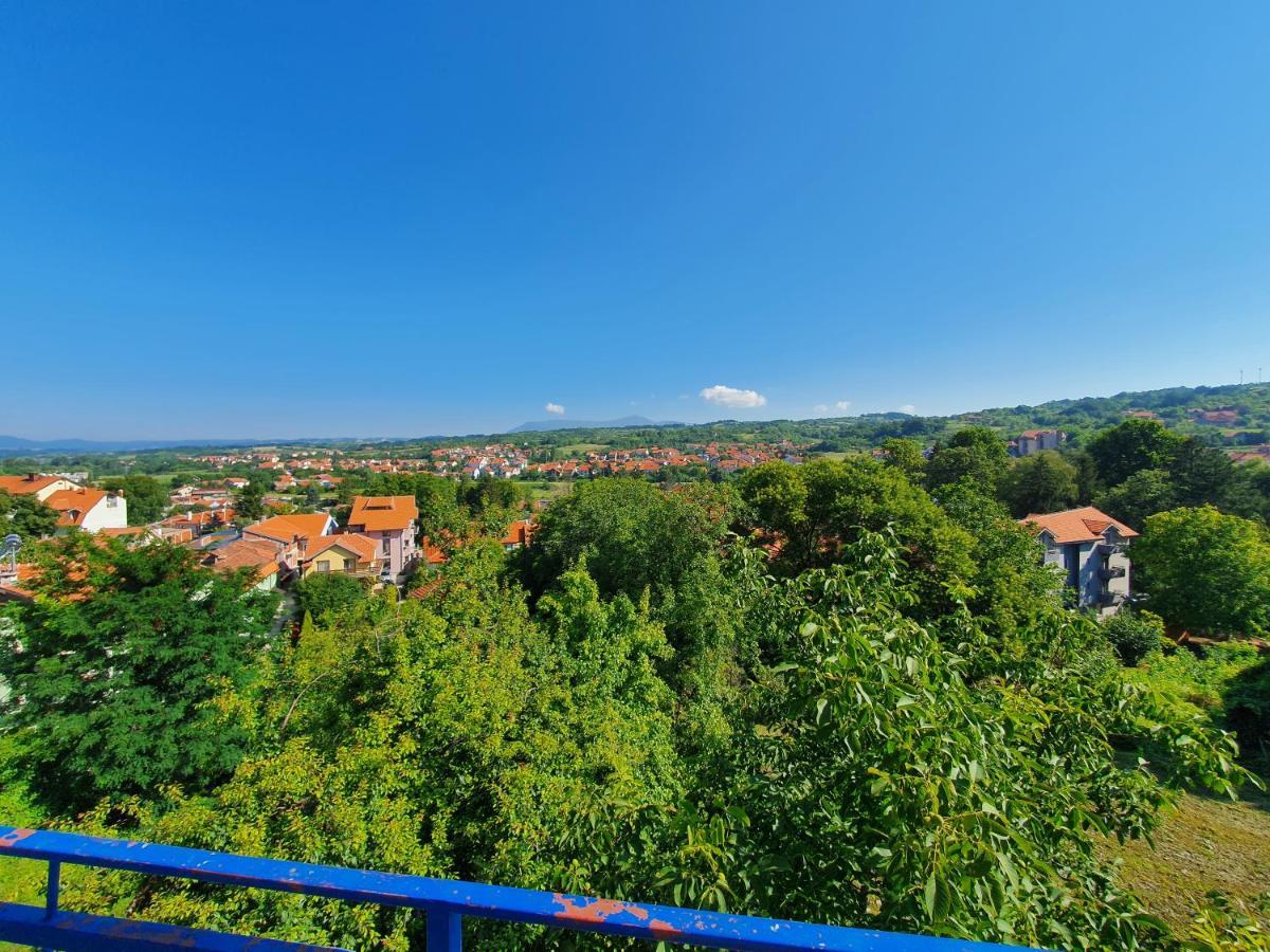 Vila Lav Sokobanja Bed & Breakfast Bagian luar foto